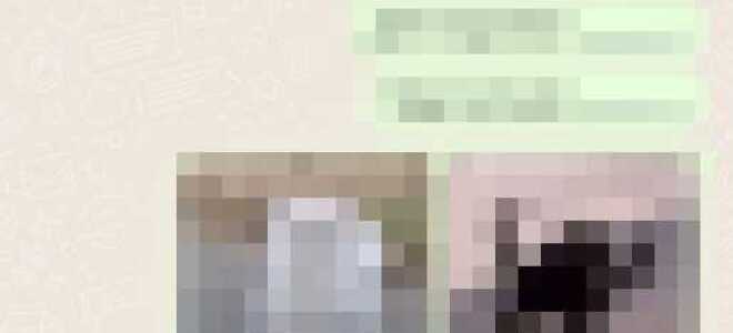 Как зайти в whatsapp с другого устройства