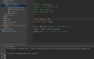 Как открыть npy файл python