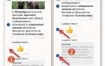 Как переслать переписку в whatsapp другому человеку
