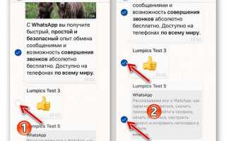Как переслать переписку в whatsapp другому человеку