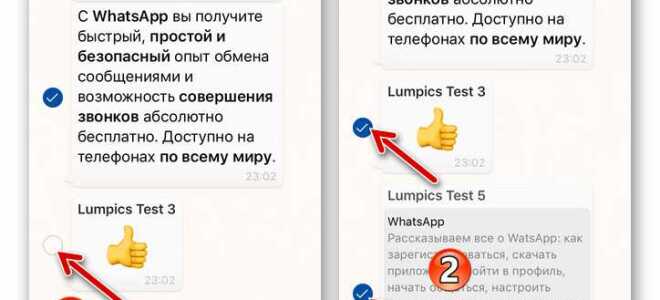 Как переслать переписку в whatsapp другому человеку
