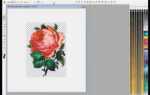 Как в coreldraw вставить картинку без фона