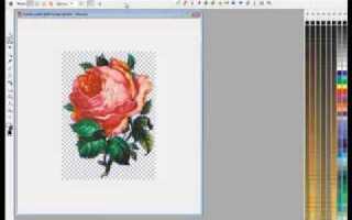 Как в coreldraw вставить картинку без фона