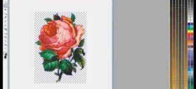 Как в coreldraw вставить картинку без фона