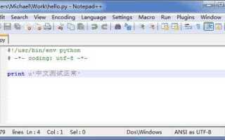Что такое ascii в python