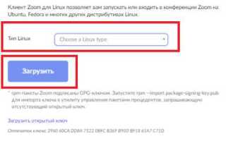 Как поменять язык в zoom на linux