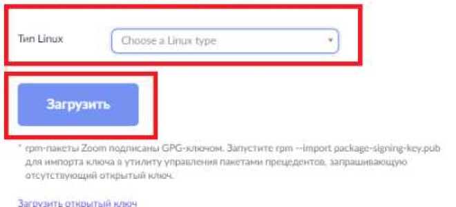 Как поменять язык в zoom на linux