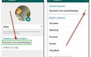 Как удалить сведения в whatsapp в iphone