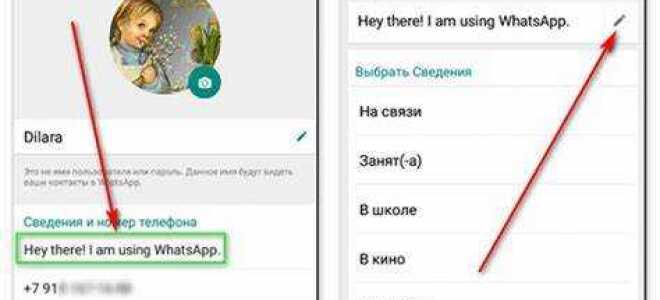 Как удалить сведения в whatsapp в iphone