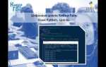 Как работает функция while в python