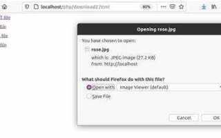 Как скачать файл по ссылке php