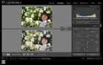Что такое lightroom в фотошопе