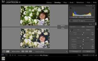 Что такое lightroom в фотошопе