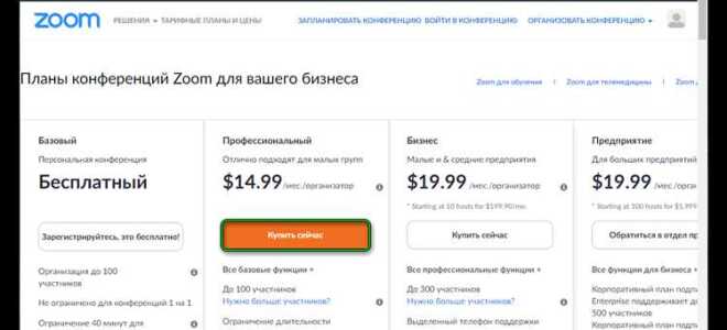 Как оплатить zoom без ндс