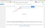 Как посмотреть кто участвовал в конференции zoom