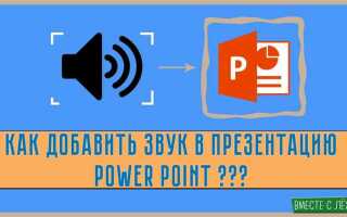 Как вставить голос в презентацию powerpoint