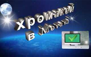 Как работает хромакей в movavi
