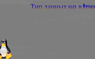 Что такое bool в python