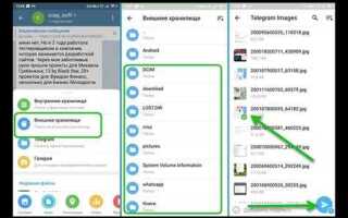 Как сохранить все файлы из telegram