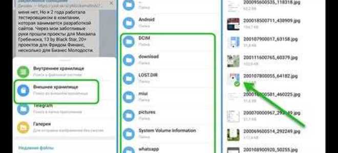 Как сохранить все файлы из telegram