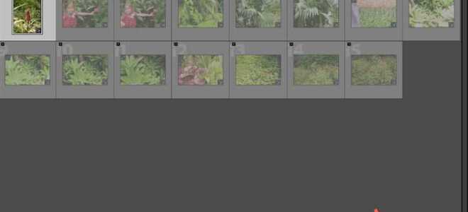 Как удалить adobe lightroom