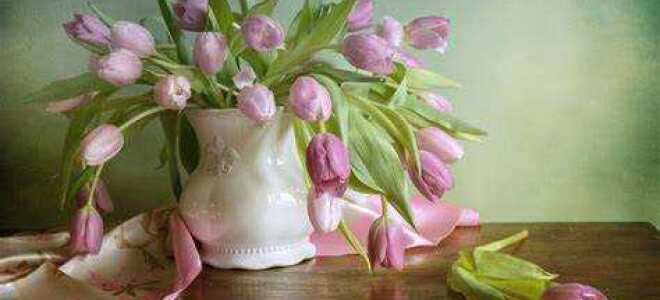 Сколько стоят тюльпаны в вазе