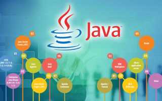 Какую версию java учить