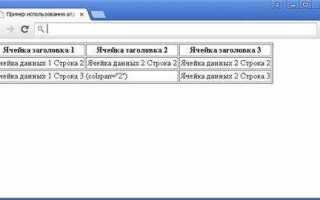 Что такое td в html