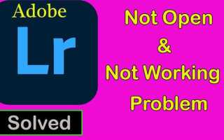 Почему lightroom не работает