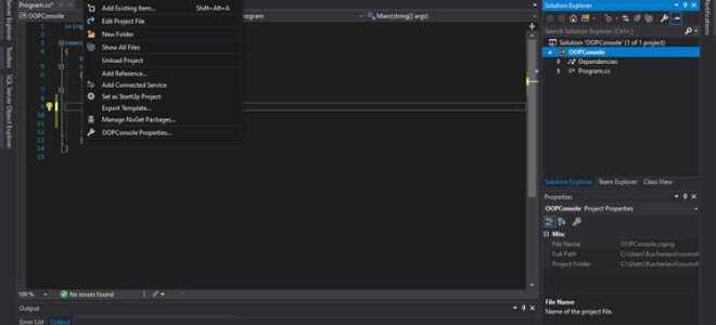 Как создать класс в c visual studio