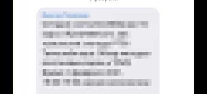 Как настроить zoom на телефоне