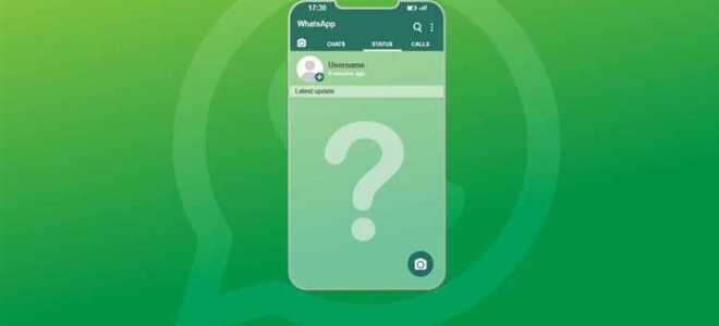 Кто может просматривать статус в whatsapp