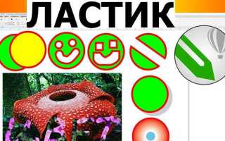 Где ластик в coreldraw