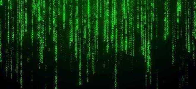 Как отзеркалить матрицу в python