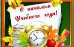 Как искать gif в whatsapp