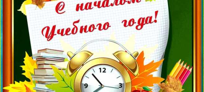 Как искать gif в whatsapp