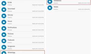 Как открыть файл crypt 14 whatsapp на компьютере