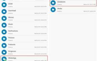 Как открыть файл crypt 14 whatsapp на компьютере