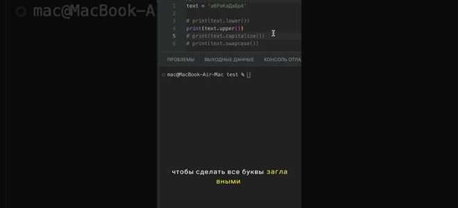 Как узнать регистр буквы в python