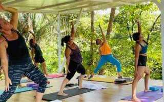 Как вести тренировки в zoom