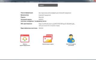 Как создать несколько конференций в zoom одновременно