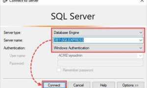 Как выполнить скрипт в sql server management studio