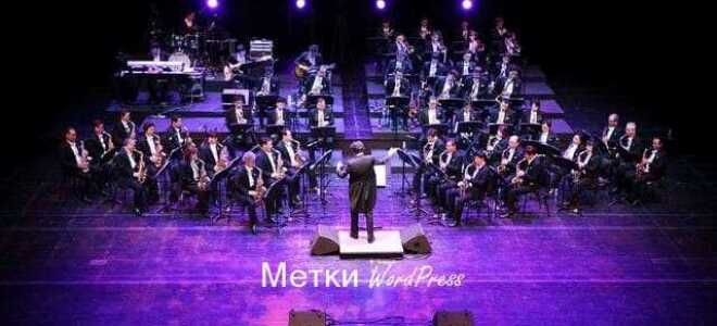 Что такое метки в wordpress