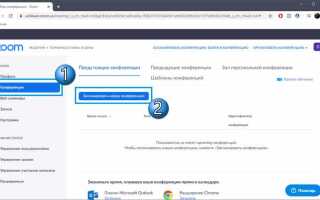 Как организовать вебинар в zoom