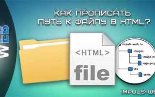 Как указать путь к css в html