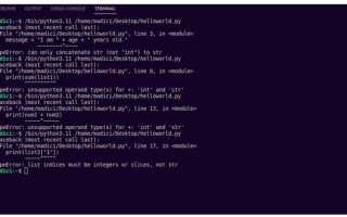 Как обрабатывать ошибки в python