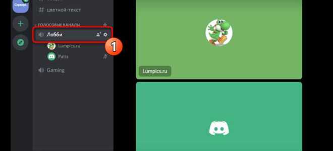 Как показывать экран в discord