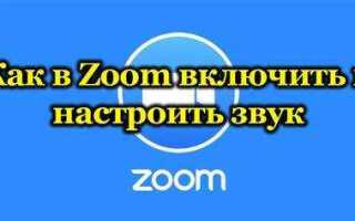 Как включить звук собеседника в zoom