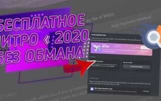 Что дает подписка nitro discord