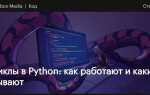 Как выйти из цикла в python